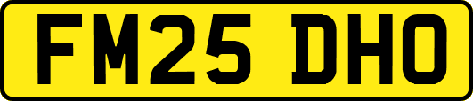 FM25DHO