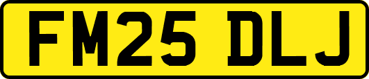FM25DLJ