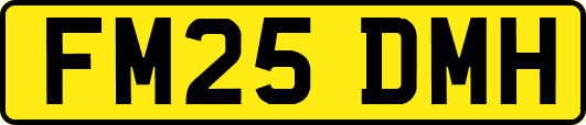 FM25DMH