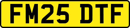 FM25DTF