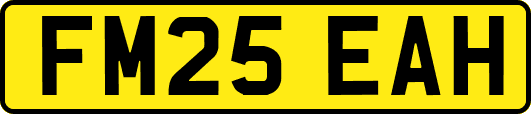 FM25EAH