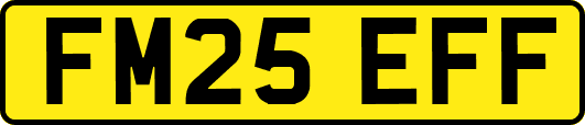 FM25EFF