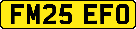 FM25EFO