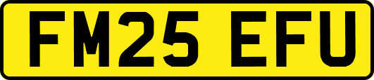 FM25EFU