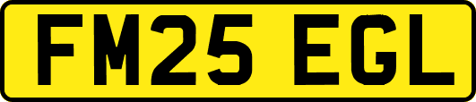 FM25EGL