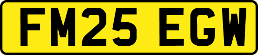 FM25EGW