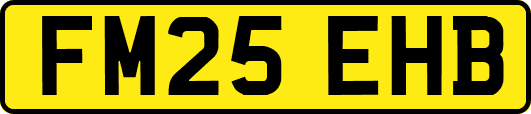 FM25EHB