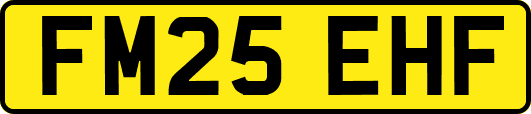 FM25EHF