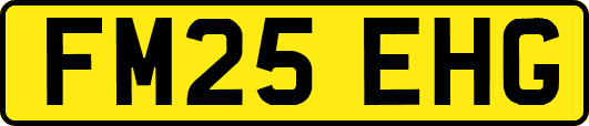 FM25EHG