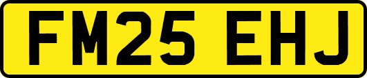 FM25EHJ