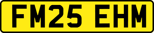 FM25EHM