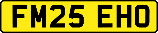 FM25EHO