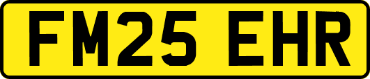 FM25EHR