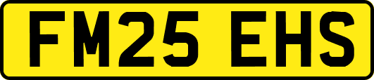 FM25EHS
