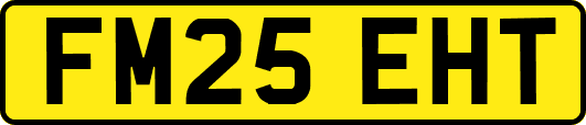 FM25EHT