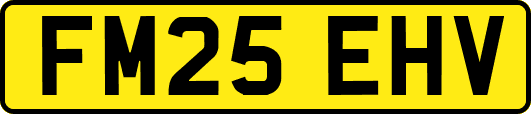 FM25EHV