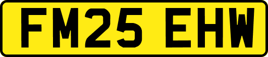 FM25EHW