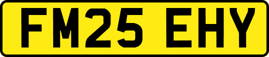 FM25EHY