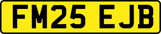 FM25EJB