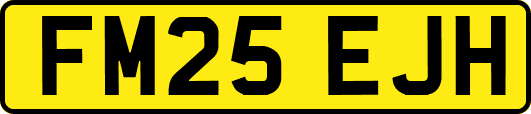 FM25EJH