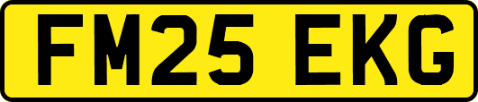 FM25EKG