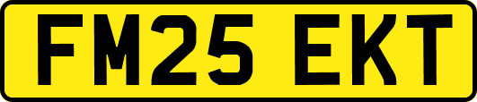 FM25EKT