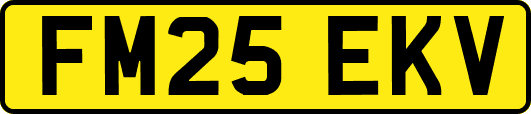 FM25EKV