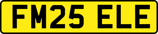 FM25ELE