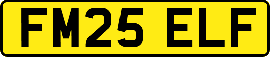FM25ELF