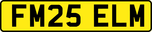 FM25ELM