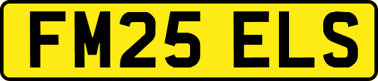 FM25ELS
