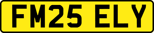 FM25ELY