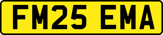 FM25EMA