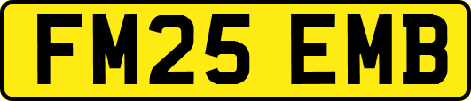 FM25EMB