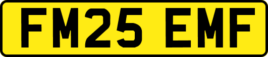 FM25EMF