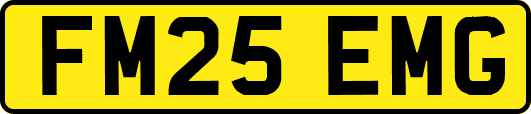 FM25EMG