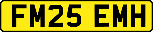 FM25EMH