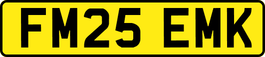 FM25EMK