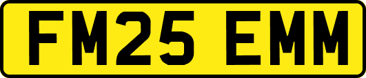 FM25EMM