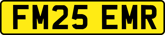 FM25EMR