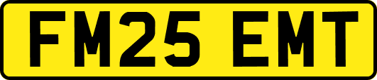 FM25EMT