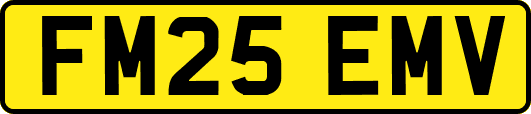 FM25EMV
