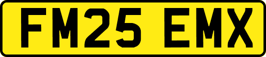 FM25EMX