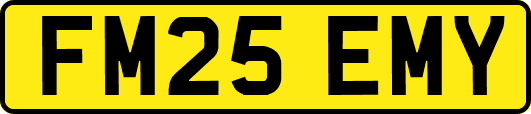 FM25EMY