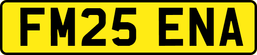 FM25ENA