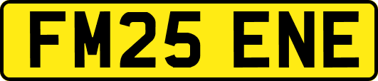 FM25ENE