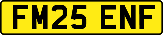 FM25ENF