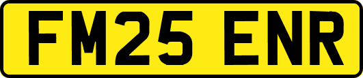FM25ENR