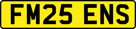 FM25ENS