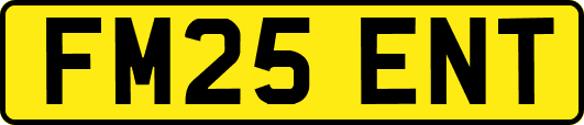 FM25ENT